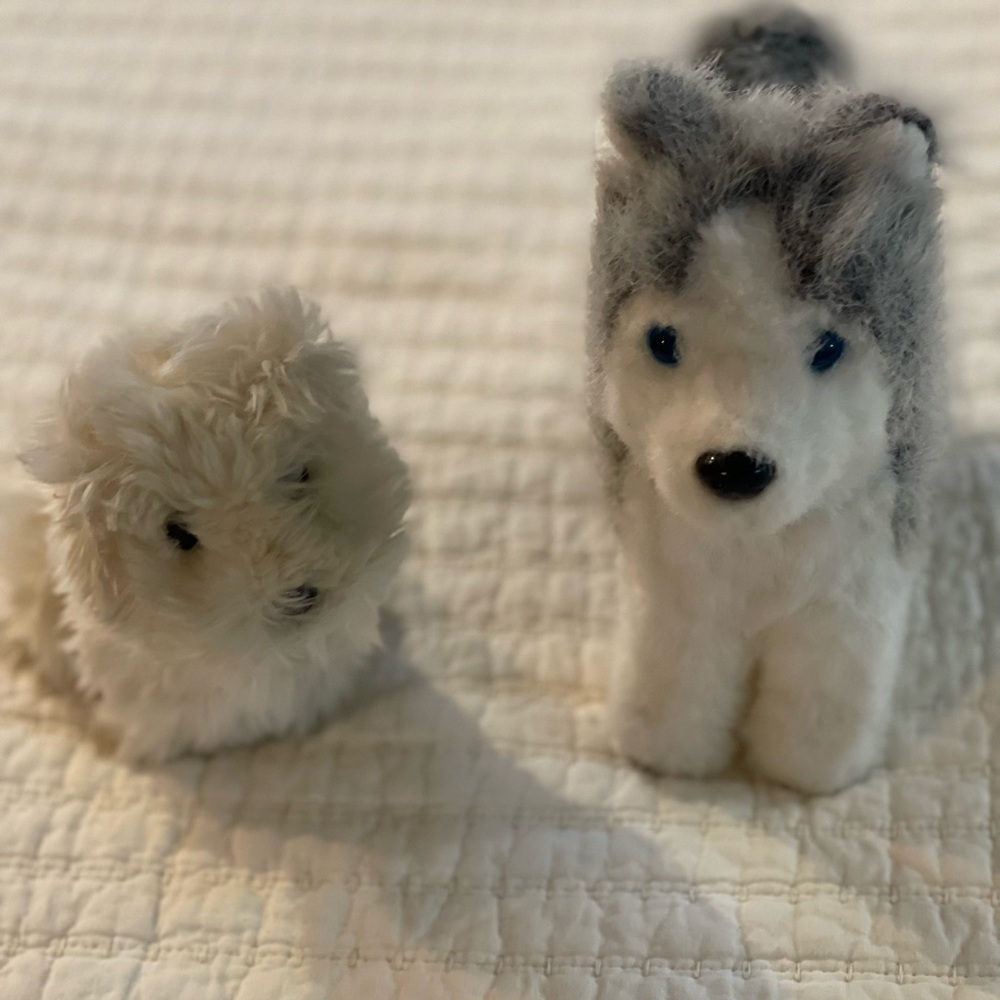 American Girl Pet’s
